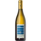 Weisser Burgunder Reserve Rheinhessen Weingut Wittmann VDP BIO