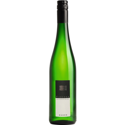 Sauvignon Blanc Qualitätswein Baden  Weingut Fischer