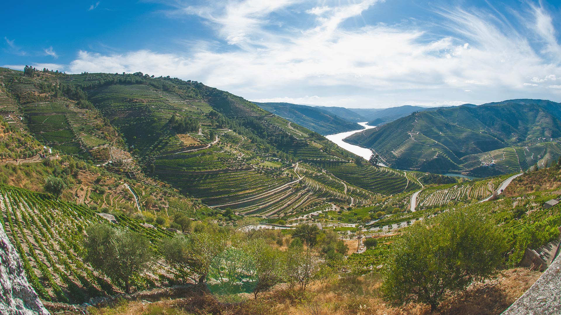 Weine aus dem Douro-Tal
