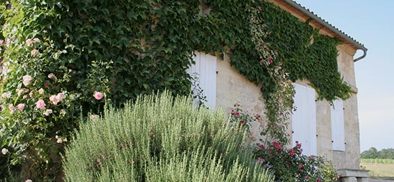 Château Marsau