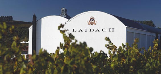 Laibach Vineyards