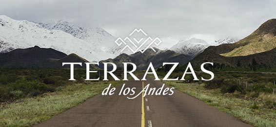 Terrazas de los Andes