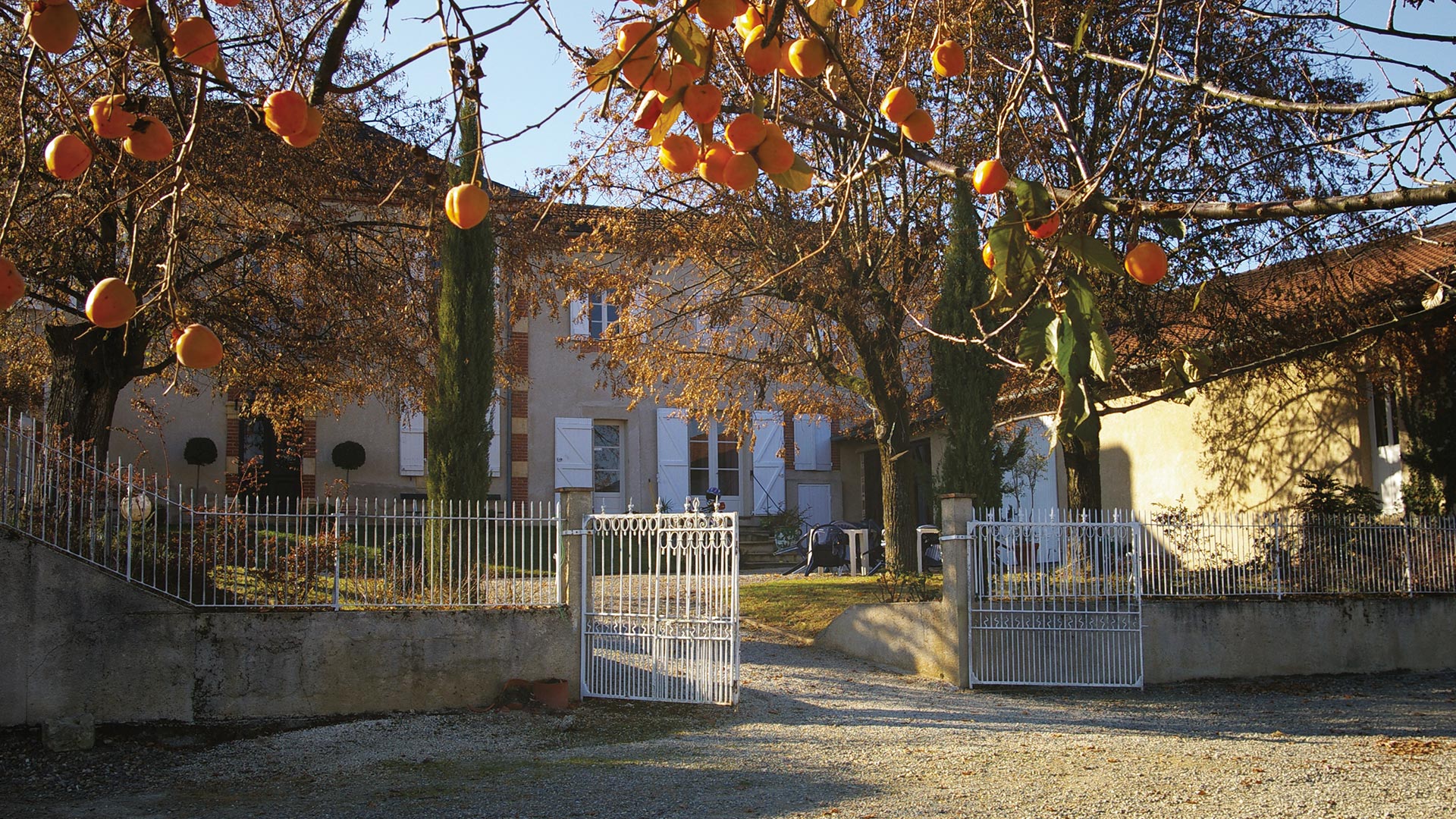Domaine Berthoumieu