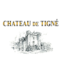 chateau_de_tigne